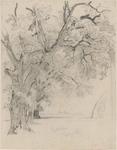 William Trost Richards - Reihe von Bäumen, Interlachen
