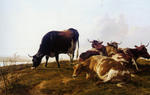 Thomas Sidney Cooper - Cattle Ruhestätte an einem Fluss